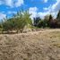  Terreno (Parcela) en venta en Biobío, Santa Barbara, Biobío, Biobío