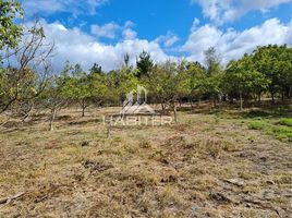  Terreno (Parcela) en venta en Biobío, Santa Barbara, Biobío, Biobío