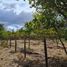 Terreno (Parcela) en venta en Biobío, Santa Barbara, Biobío, Biobío
