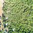  Terreno (Parcela) en venta en Ñuble, Pinto, Diguillín, Ñuble