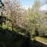 5 Bedroom Apartment for sale in Santiago, Santiago, Santiago, Santiago