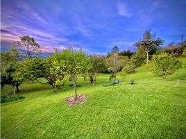 Land for sale in Rionegro, Antioquia, Rionegro