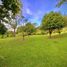  Land for sale in Rionegro, Antioquia, Rionegro