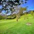  Land for sale in Rionegro, Antioquia, Rionegro