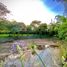  Land for sale in Rionegro, Antioquia, Rionegro