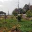 2 Habitación Casa en venta en Chacabuco, Santiago, Colina, Chacabuco