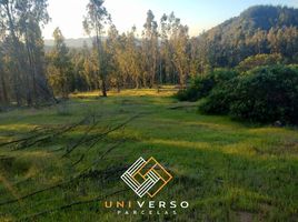  Terreno (Parcela) en venta en Chile, Santa Cruz, Colchagua, Libertador General Bernardo O'Higgins, Chile