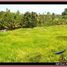  Land for sale in Selemadeg, Tabanan, Selemadeg