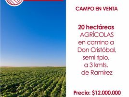  Land for sale in Nogoya, Entre Rios, Nogoya