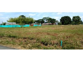  Land for sale in Jamundi, Valle Del Cauca, Jamundi