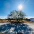  Land for sale in Apodaca, Nuevo Leon, Apodaca