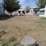  Land for rent in Colima, Colima, Colima, Colima