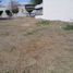 Land for rent in Colima, Colima, Colima, Colima