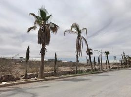  Grundstück zu vermieten in San Luis Potosi, San Luis Potosi, San Luis Potosi, San Luis Potosi