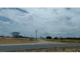  Land for sale in Penonome, Cocle, Cocle, Penonome