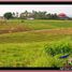  Land for sale in Kerambitan, Tabanan, Kerambitan