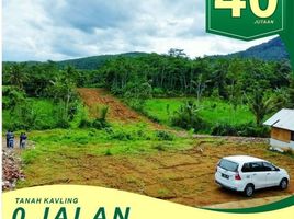  Land for sale in Indonesia, Balong, Ponorogo, East Jawa, Indonesia