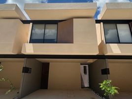 2 Schlafzimmer Wohnung zu vermieten in Merida, Yucatan, Merida, Yucatan, Mexiko