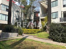 Condominium 3 chambre à vendre à Miguel Hidalgo, Mexico City, Miguel Hidalgo, Mexico City