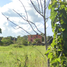 12 Bedroom Apartment for sale in Cunduacan, Tabasco, Cunduacan
