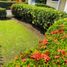 3 chambre Villa for sale in Chiriqui, San Pablo Viejo, David, Chiriqui