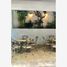 Villa 5 chambre à vendre à Monterrey, Nuevo Leon, Monterrey