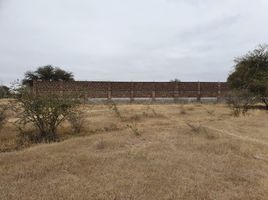  Grundstück zu verkaufen in Allende, Guanajuato, Allende