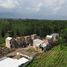 3 Bedroom House for sale in Ngaglik, Yogyakarta, Ngaglik