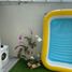 3 Habitación Villa en venta en Gamping, Yogyakarta, Gamping, Sleman