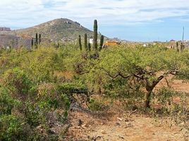  Grundstück zu verkaufen in La Paz, Baja California Sur, La Paz
