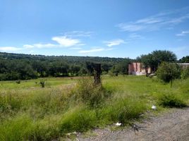 Land for sale in Ojuelos De Jalisco, Jalisco, Ojuelos De Jalisco