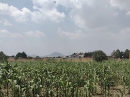  Grundstück zu verkaufen in Zinacatepec, Mexico, Zinacatepec