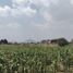  Grundstück zu verkaufen in Zinacatepec, Mexico, Zinacatepec