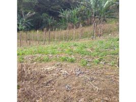 2 Schlafzimmer Villa zu verkaufen in Dolega, Chiriqui, Potrerillos