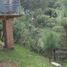  Terreno (Parcela) en venta en Mazamitla, Jalisco, Mazamitla