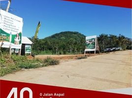  Land for sale in Jombang, East Jawa, Jombang, Jombang