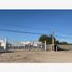  Land for rent in Torreon, Coahuila, Torreon