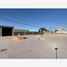  Land for rent in Torreon, Coahuila, Torreon