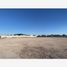  Land for rent in Torreon, Coahuila, Torreon