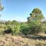  Land for sale in Cordoba, Punilla, Cordoba