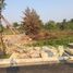  Land for sale in O Cho Dua, Hanoi, O Cho Dua, Dong Da, Hanoi