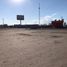 Grundstück zu verkaufen in Torreon, Coahuila, Torreon