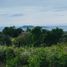  Land for sale in Zamboanguita, Negros Island Region, Zamboanguita