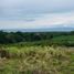  Land for sale in Zamboanguita, Negros Island Region, Zamboanguita
