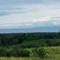  Land for sale in Zamboanguita, Negros Island Region, Zamboanguita