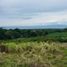  Land for sale in Zamboanguita, Negros Island Region, Zamboanguita