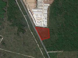  Grundstück zu vermieten in Conkal, Yucatan, Conkal