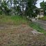 Terrain à vendre à Talisay City, Central Visayas, Talisay City