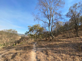  Land for sale in Morelia, Michoacan, Morelia, Michoacan