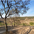  Land for sale in Morelia, Michoacan, Morelia, Michoacan